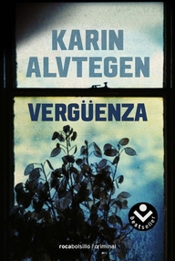 Libro: Vergüenza - Alvtegen, Karin