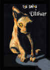 Los gatos de Ulthar