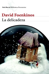 Libro: La delicadeza - David Foenkinos